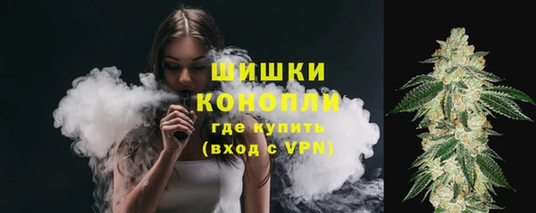 прущие грибы Семёнов