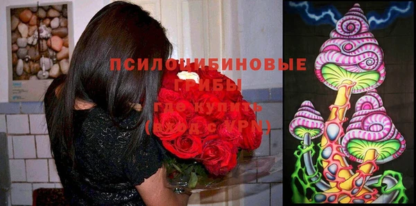 каннабис Снежинск