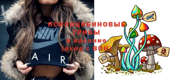 прущий лед Семилуки