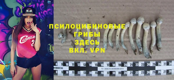 прущие грибы Семикаракорск
